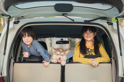 kids in a new car